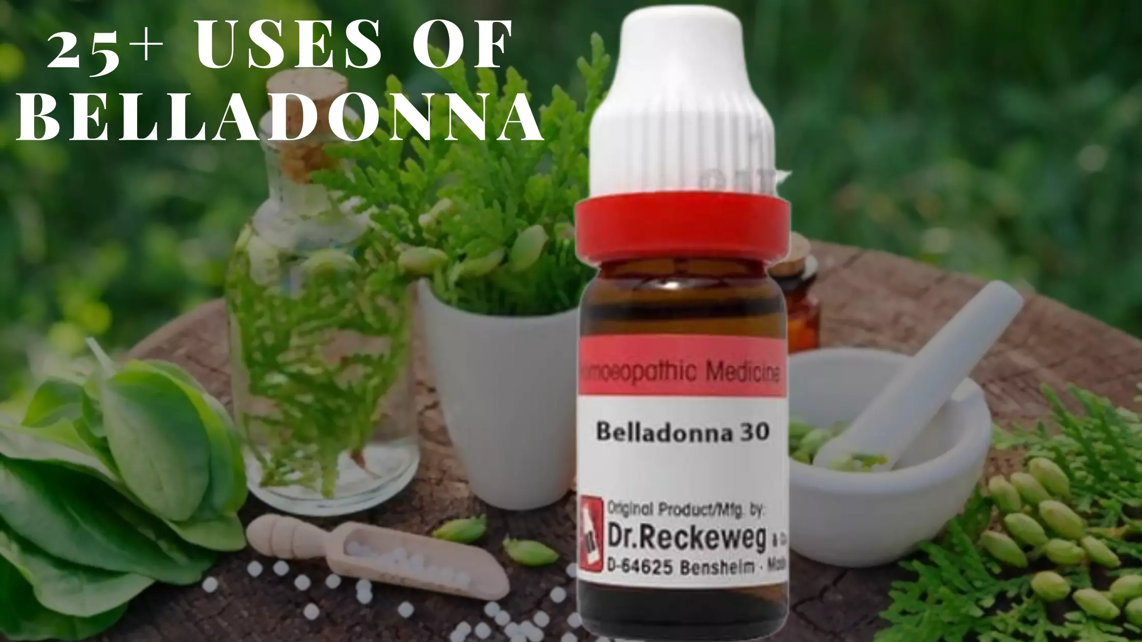 Belladonna-30-200-uses