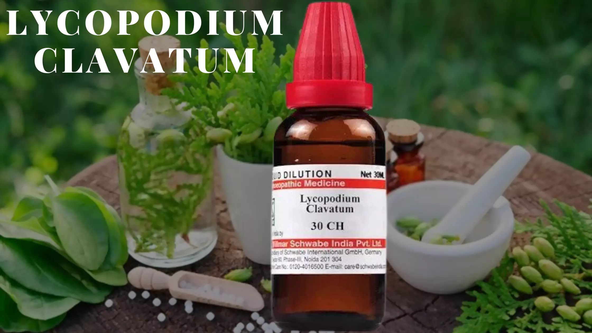 Lycopodium Clavatum 30, 200, 1M: Uses, Dosage & Benefits - Dr. Pranjali
