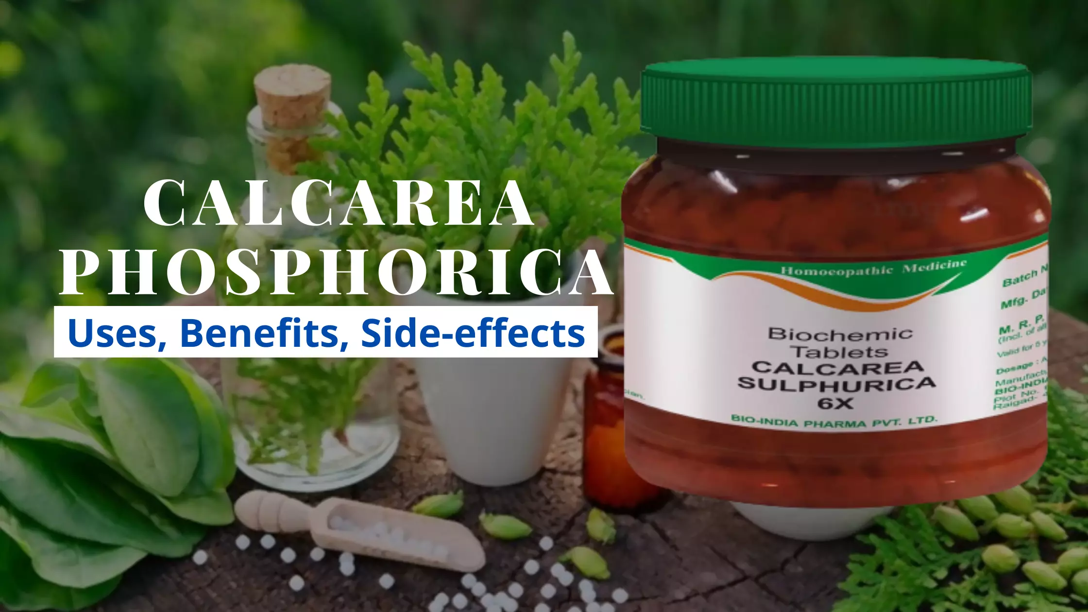 calcarea phosphorica 6x uses