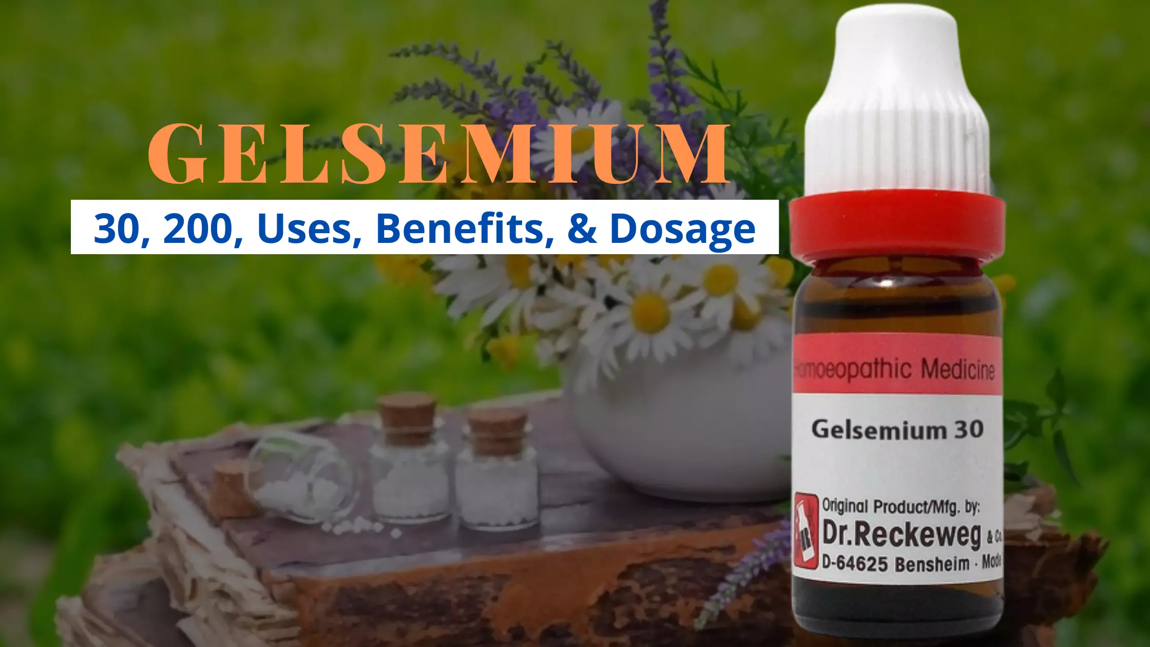 Gelsemium Sempervirens 30, 200 Uses, Dosage, Side Effects Benefits