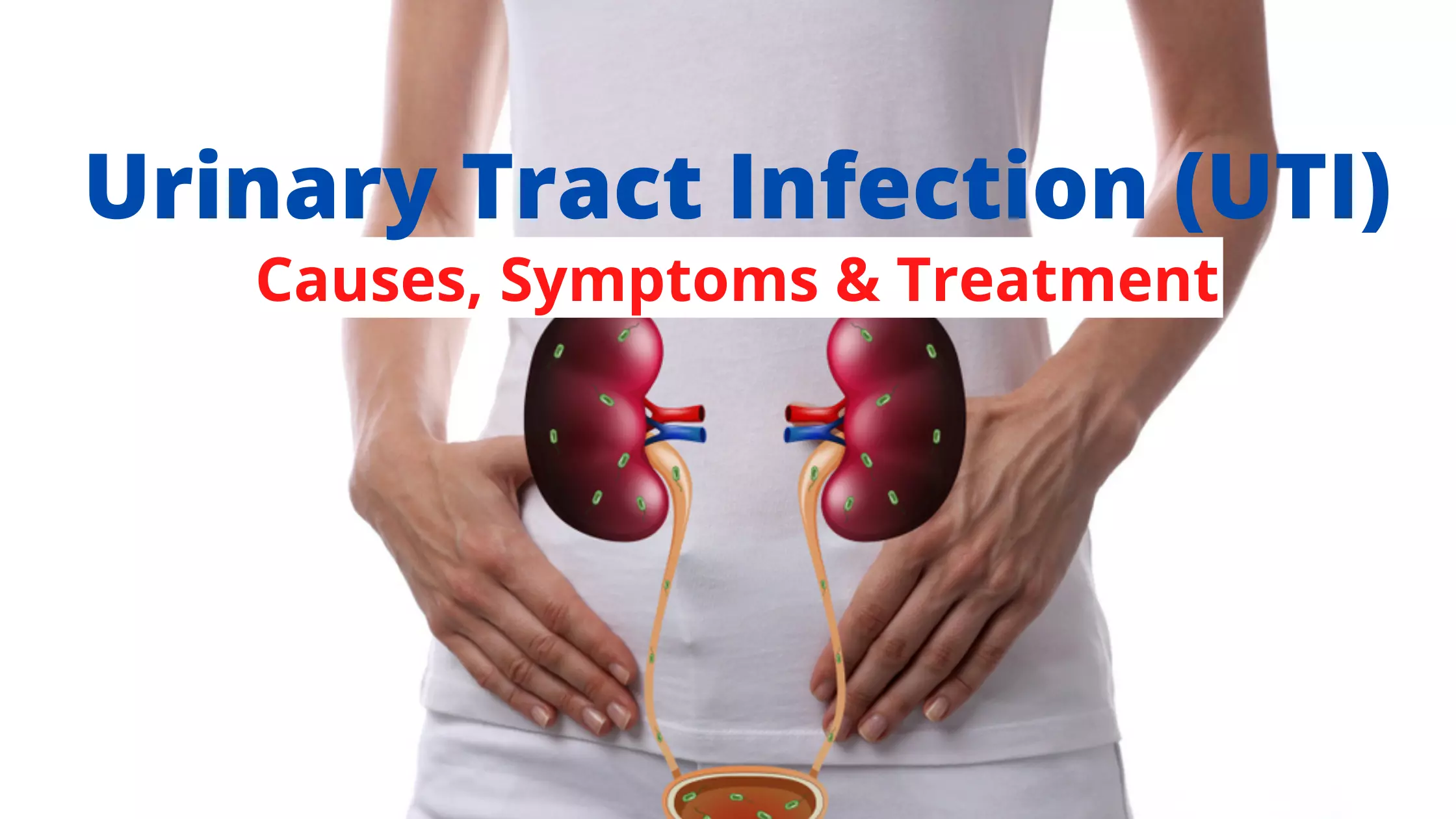 10+ Homeopathic Remedies For Urinary Tract Infection (UTI) - Dr. Pranjali