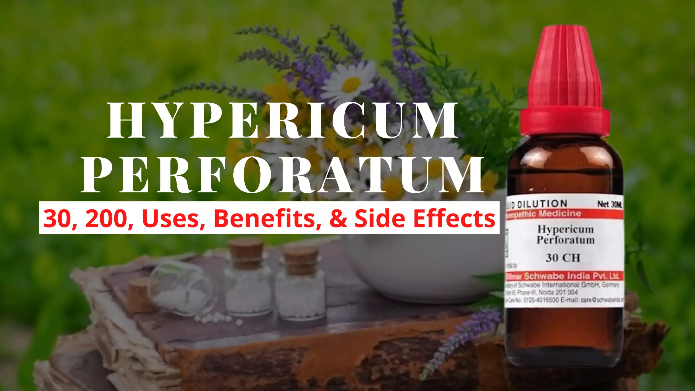 Hypericum Perforatum Homeopathy Uses, Benefits Side Effects