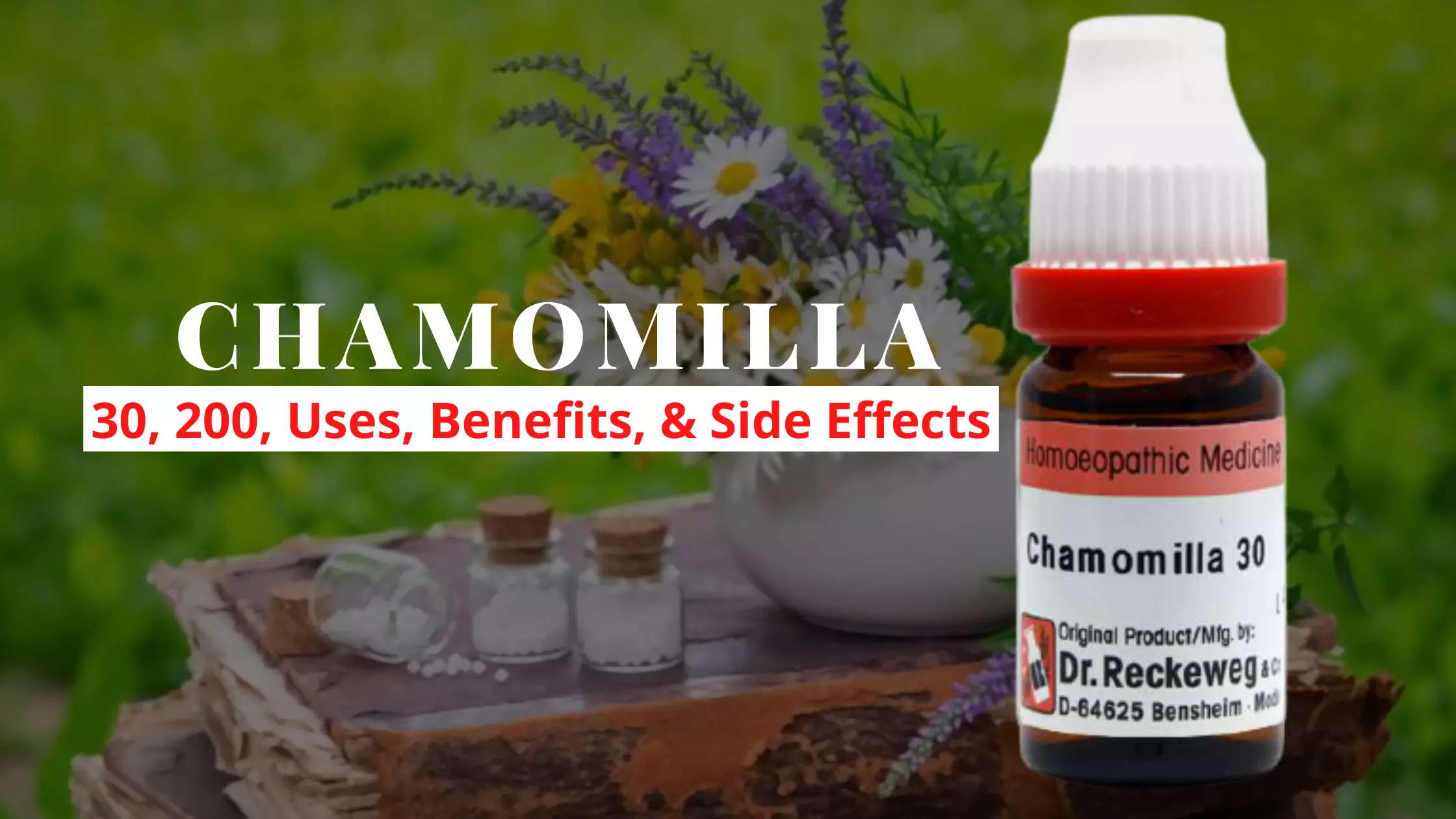 Chamomilla 30, 200 – Uses, Dosage, Benefits Side Effects