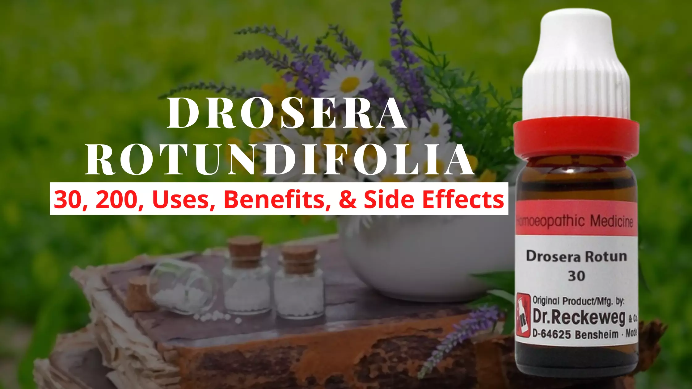 DROSERA ROTUNDIFOLIA - Uses, Dosage, Benefits Side Effects