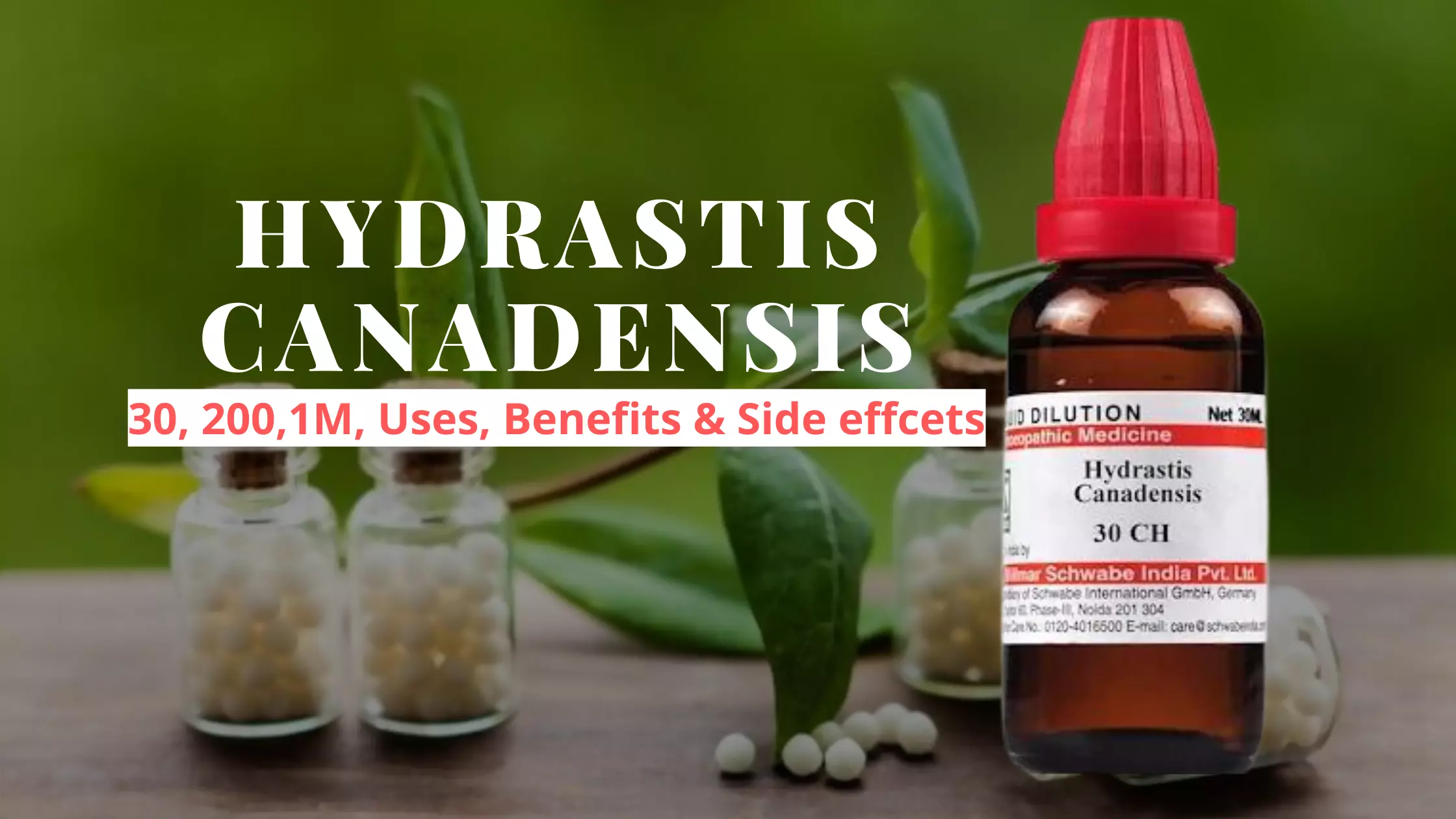 Hydrastis Canadensis 30, 200 Uses, Dosage, Benefits Side Effects