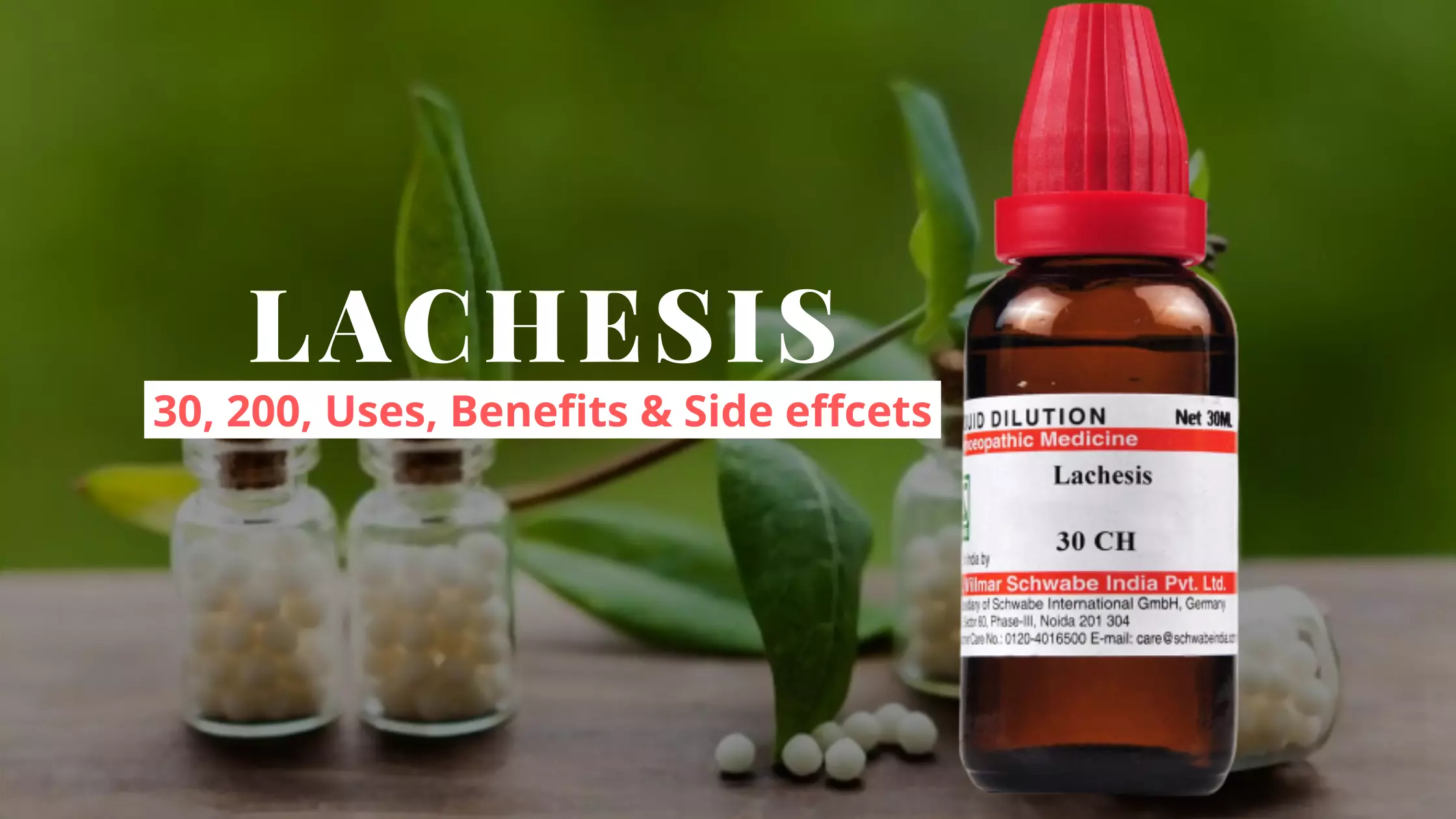 Lachesis 30, 200, 1M – Uses, Dosage, Benefits Side Effects