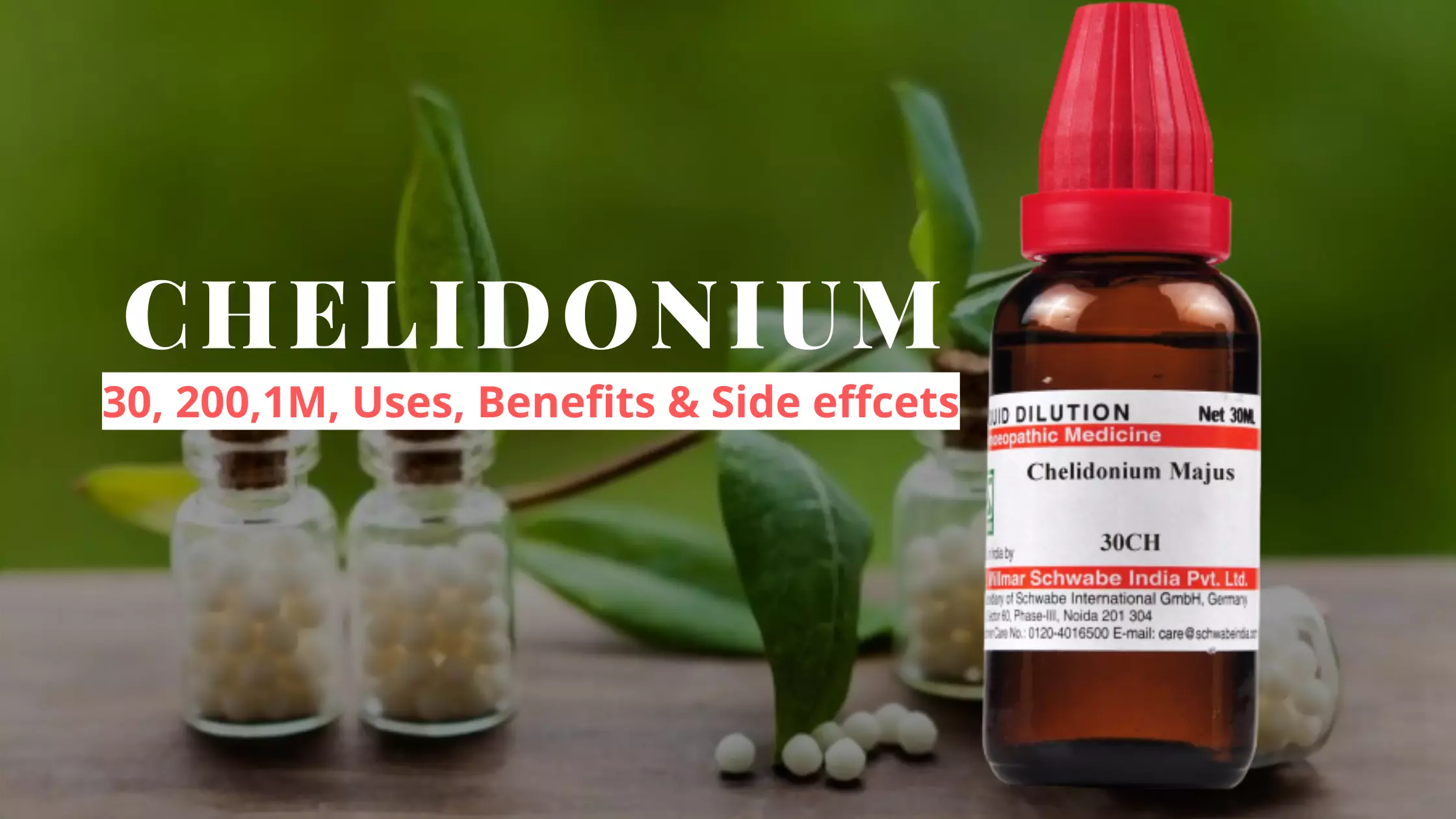 Chelidonium Majus 30, 200 Uses, Dosage, Benefits Side Effects