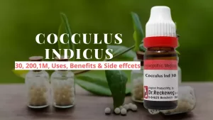 Cocculus Indicus 30, 200 Uses, Dosage, Benefits Side Effects