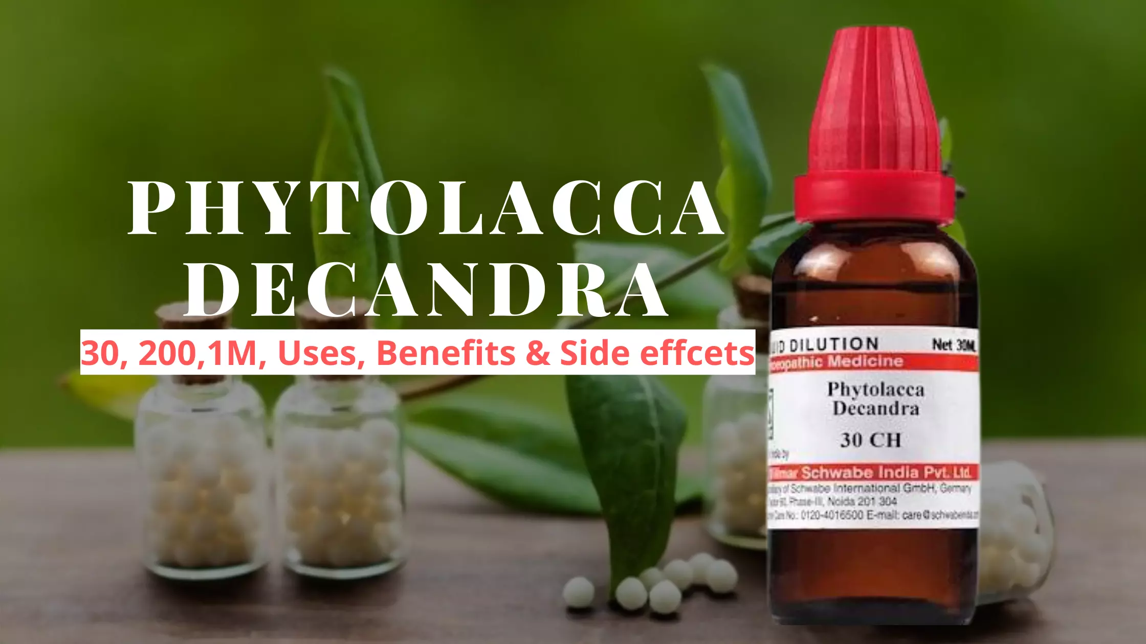 Phytolacca Decandra 30, 200 Uses, Dosage, Benefits Side Effects