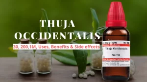 Thuja Occidentalis 30, 200, Q - Uses, Benefits and Side Effects