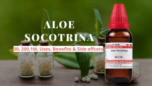 Aloe Socotrina 30, 200, Q - Uses, Benefits and Side Effects