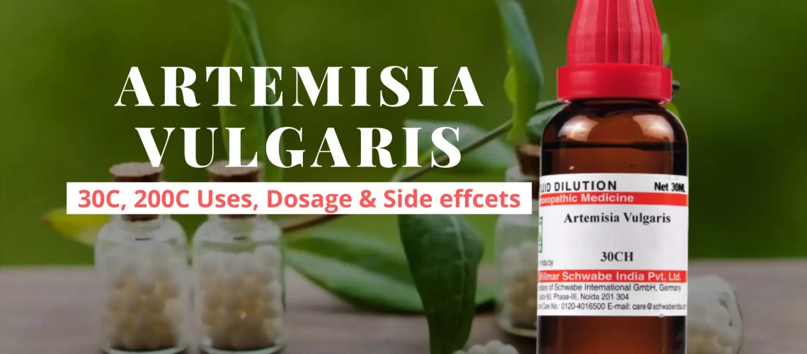 Artemisia Vulgaris 30, 200, Tincture Uses, Dosage, Benefits Side Effects