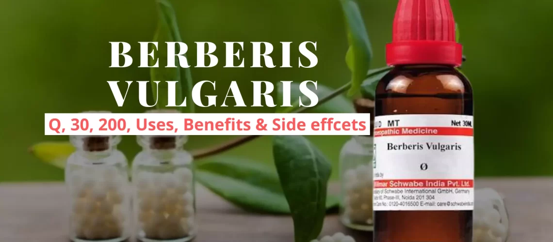 Berberis Vulgaris Uses, Dosage, Benefits Side Effects