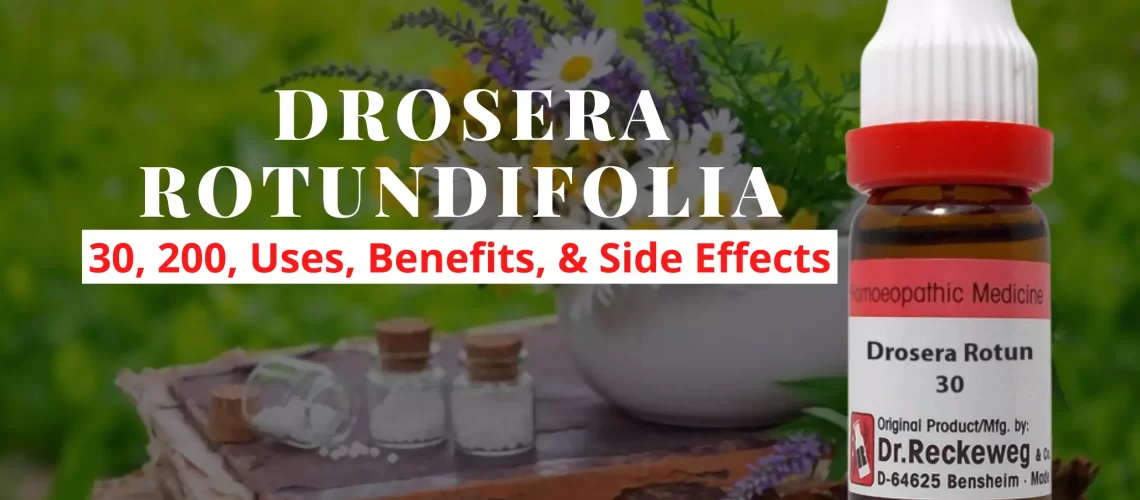 DROSERA ROTUNDIFOLIA - Uses, Dosage, Benefits Side Effects