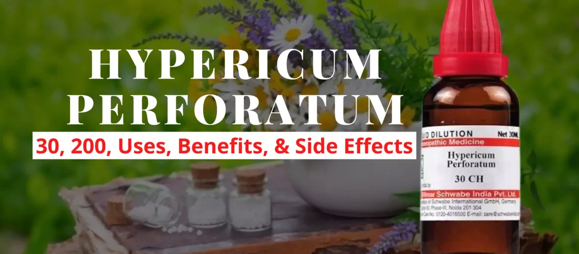 Hypericum Perforatum Homeopathy Uses, Benefits Side Effects